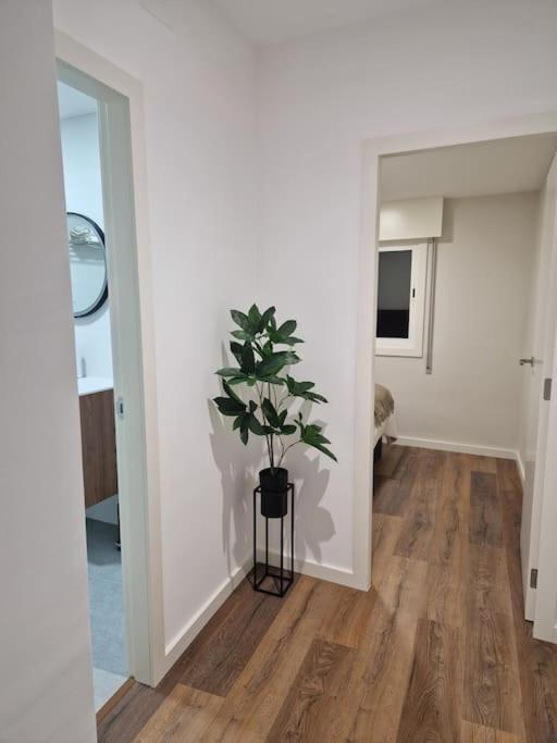 Atico Cork Apartment Vigo Bagian luar foto