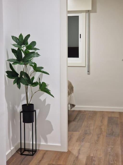 Atico Cork Apartment Vigo Bagian luar foto
